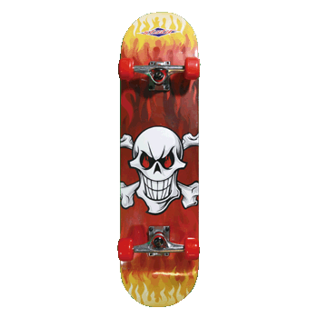 Skateboard Manufacturer